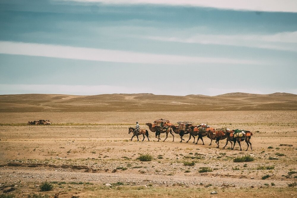 Монголия караван.jpg