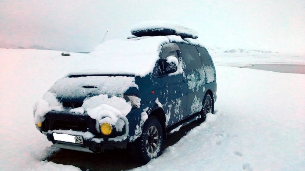 ава-delica.jpg