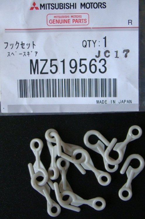 MZ519563.JPG
